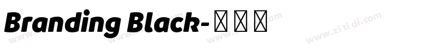 Branding Black字体转换